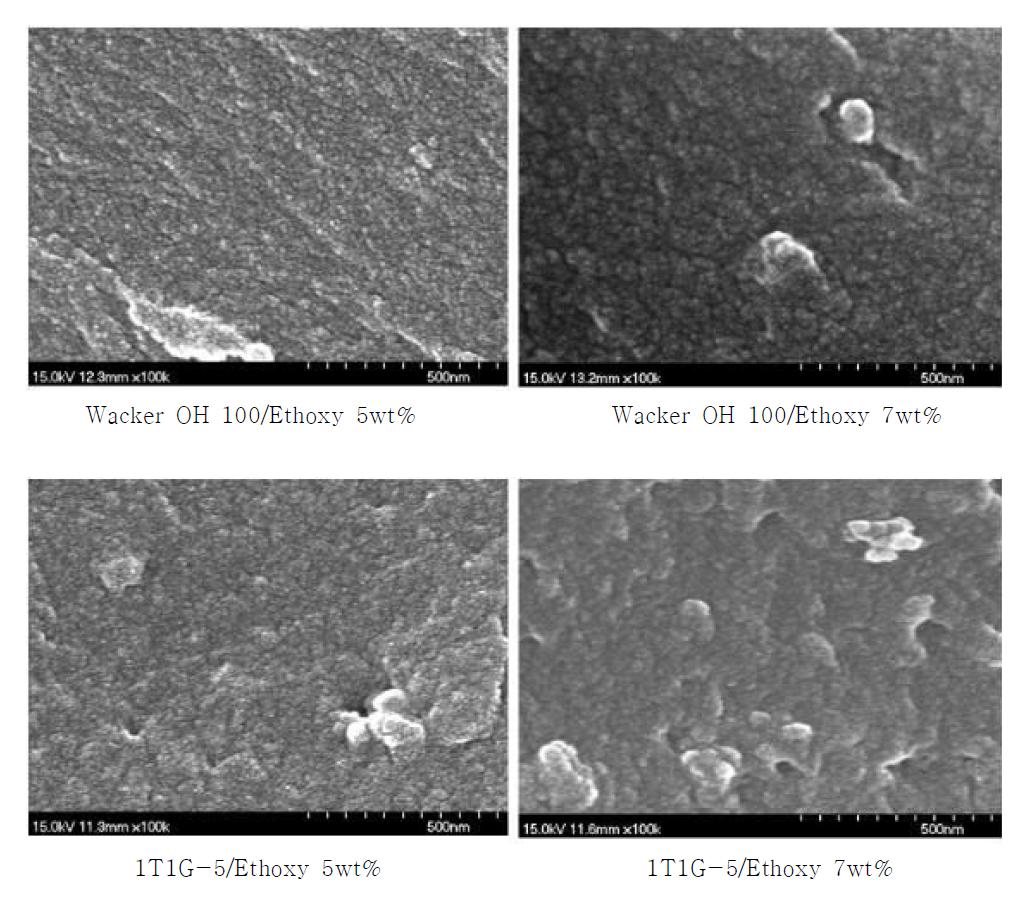 Ethoxy로 처리된 Aerosil OX 50가 첨가된 1T1G-5, Wacker OH 100 강화제로부터 형성된 젤 단면의 SEM image