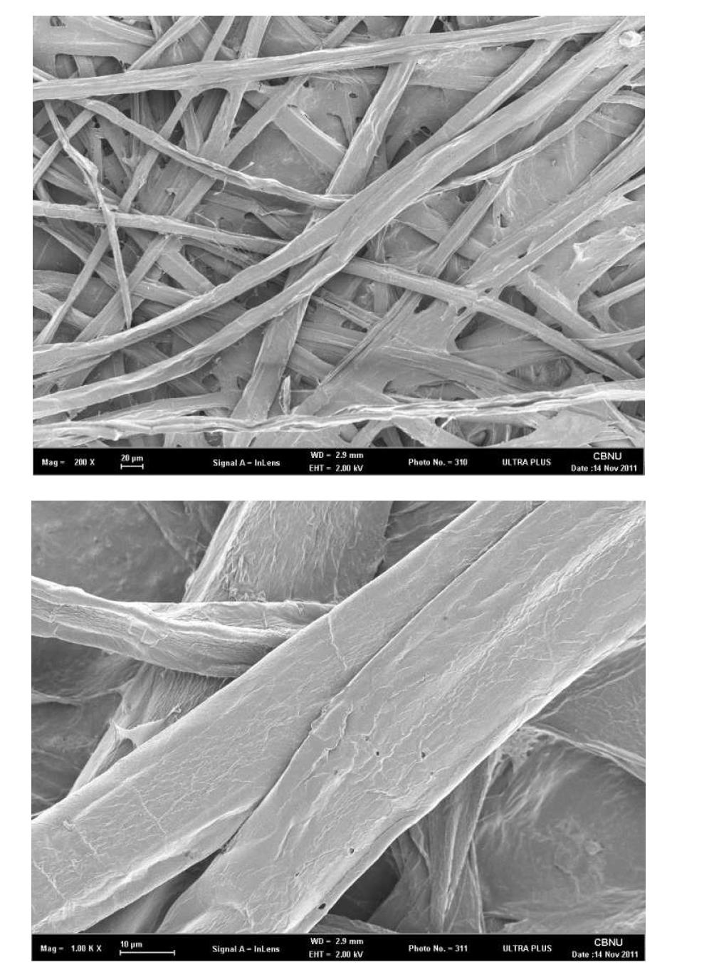 FE-SEM image of a prototype.