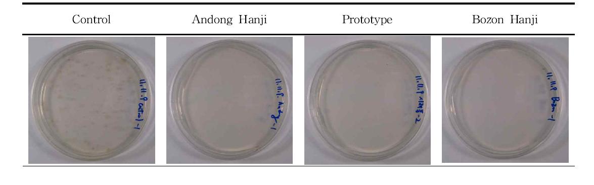 The antifungal activity of dyed Hanji after 10 days storage