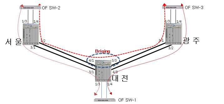 PBB 장비로 구성된 OpenFlow 터널링 환경