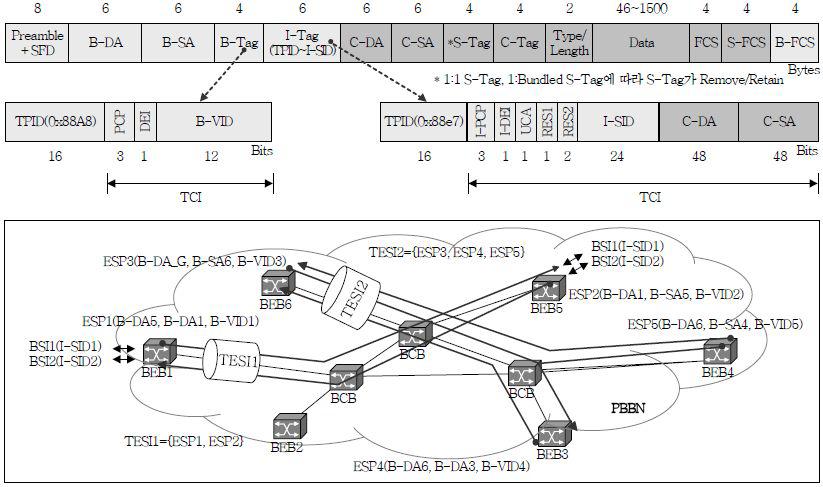 MAC-in-MAC Frame Type and BSI/ESP/TESI Definition