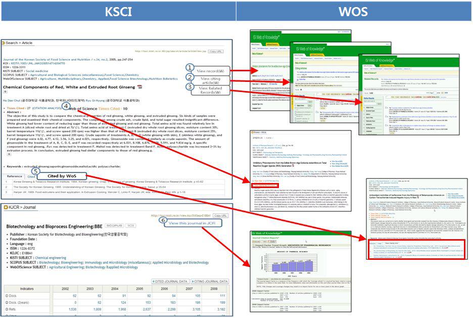 Six Functions between KSCI and WOS