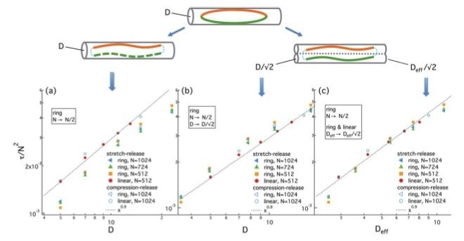 Effects of ring topology and imaginary tubes