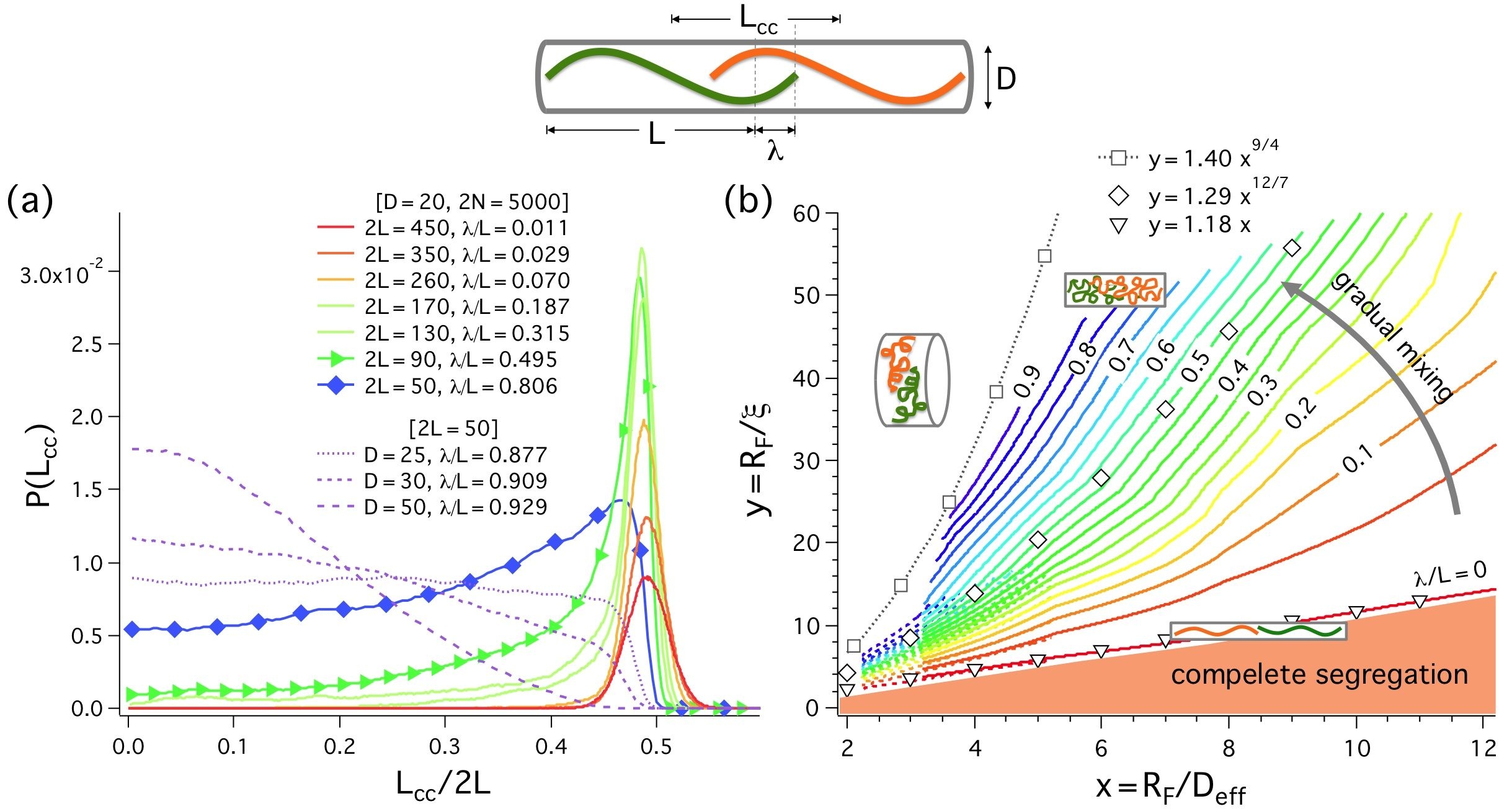 Distribution of the center-to-center distance and miscibility diagram