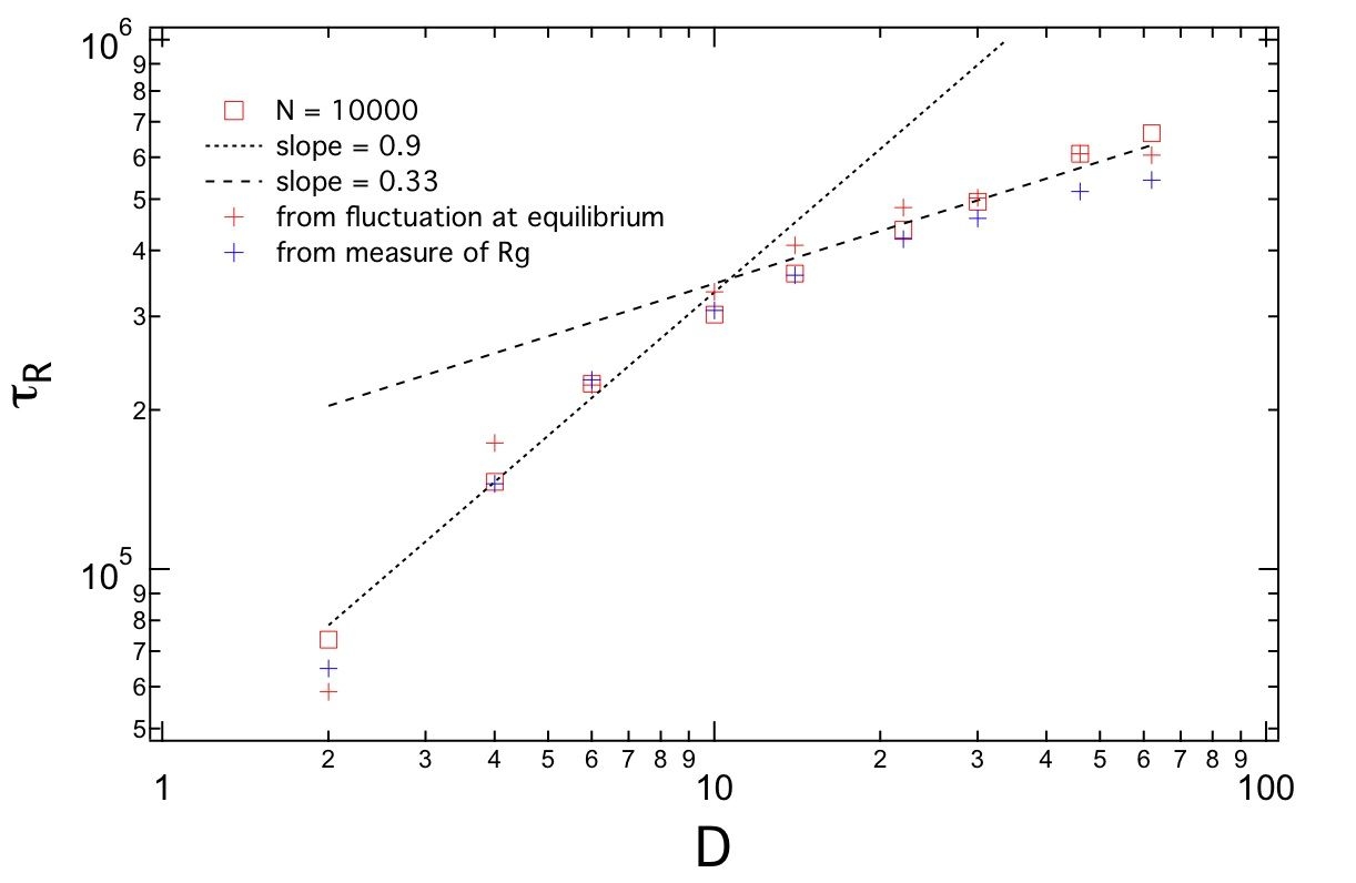 Relaxation time of a long polymer in a cylindrical channel