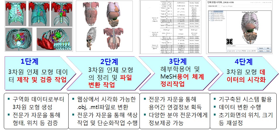 한국인 인체영상시각화 시스템의 제작 과정