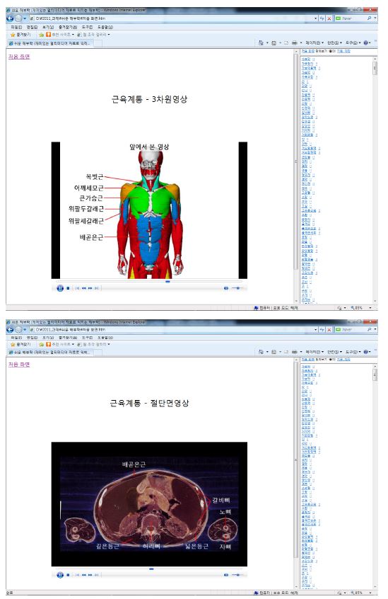 근육계통의 3차원 동영상 (위) 과 절단면 동영상 (아래)