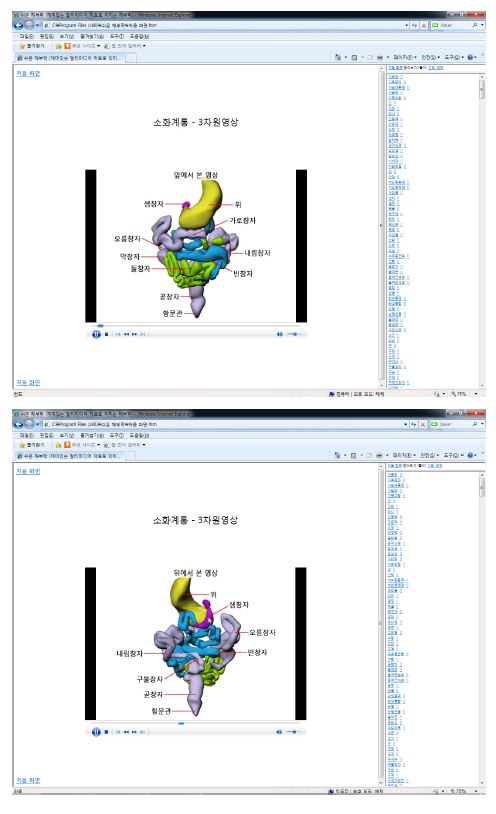 소화계통의 3차원영상