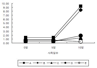 그림 84. 복합양식 시험구의 Chl. a 변화.