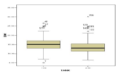 그림 21. Tank 1과 2의 새우의 체중 분포.