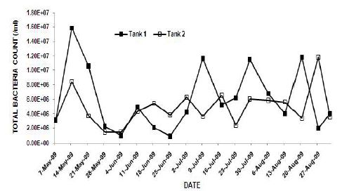 그림 27. Tank 1과 2의 총세균수의 변화.