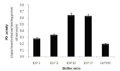 그림 42. Biofloc 농도에 따른 새우 사육시 hemocyte의 페놀옥시다제(PO) 활성도.