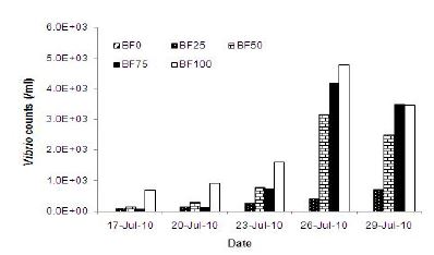 그림 47. 기간별 각 biofloc 시험구의 Vibrio 수.