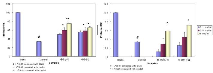 그림 7. Tacrine으로 유도된 간독성에 대한 자라(왼쪽)와 뱀장어(오른쪽) 간보호효과