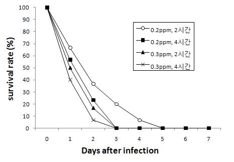 그림 9. 중감염된 어류의 과초산에 대한 농도별 치료효과