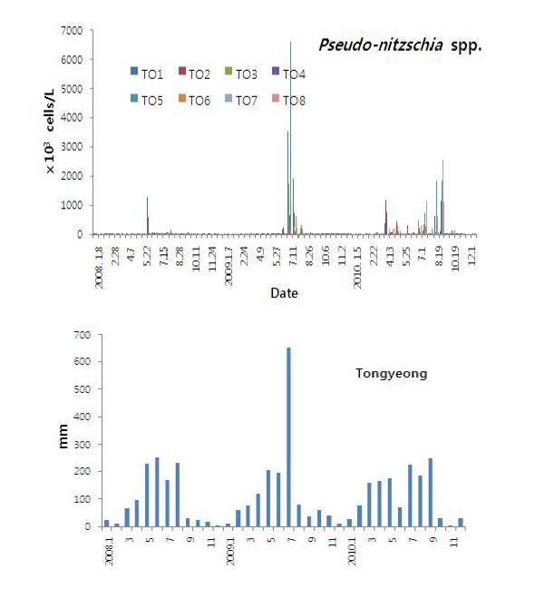그림 10. 2008∼2010년 남해동부연안의 Pseudo-nitzschia 종의 출현량과 강수량.