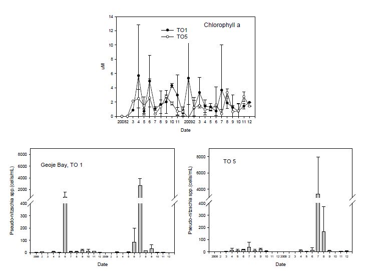 그림 12. TO.1과 TO.5에서의 클로로필 a와 Pseudo-nitzschia 현존량의 변동