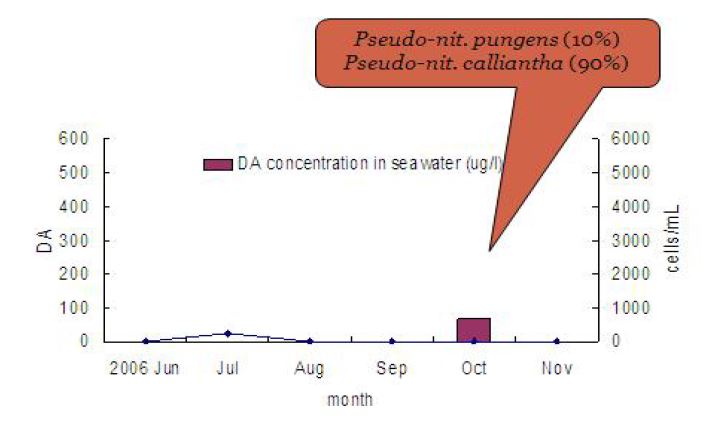 그림 14. 2006년 선행연구에서의 해수중 DA 출현과 우점 Pseudo-nitzschia 종.