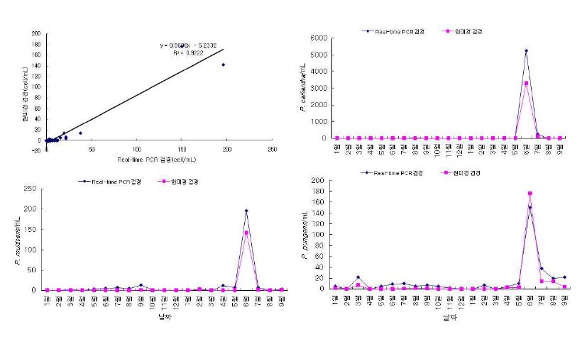 그림 21. Real-time PCR 유전자 탐침자를 이용한 자연해수 내 유독 Pseudo-nitzschia 종의 정량검출 결과와 전자현미경을 이용한 검경법 결과의 비교.