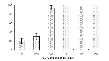 그림 2-26. 황산구리에 따른 참굴(Crassostrea gigas) D형 유생의 사망률(1차 실험).