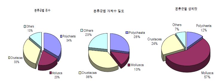 그림 12. 함평만 마산리 갯벌에 출현한 대형저서동물의 종수, 개체수밀도, 습중생체량의 백분율.