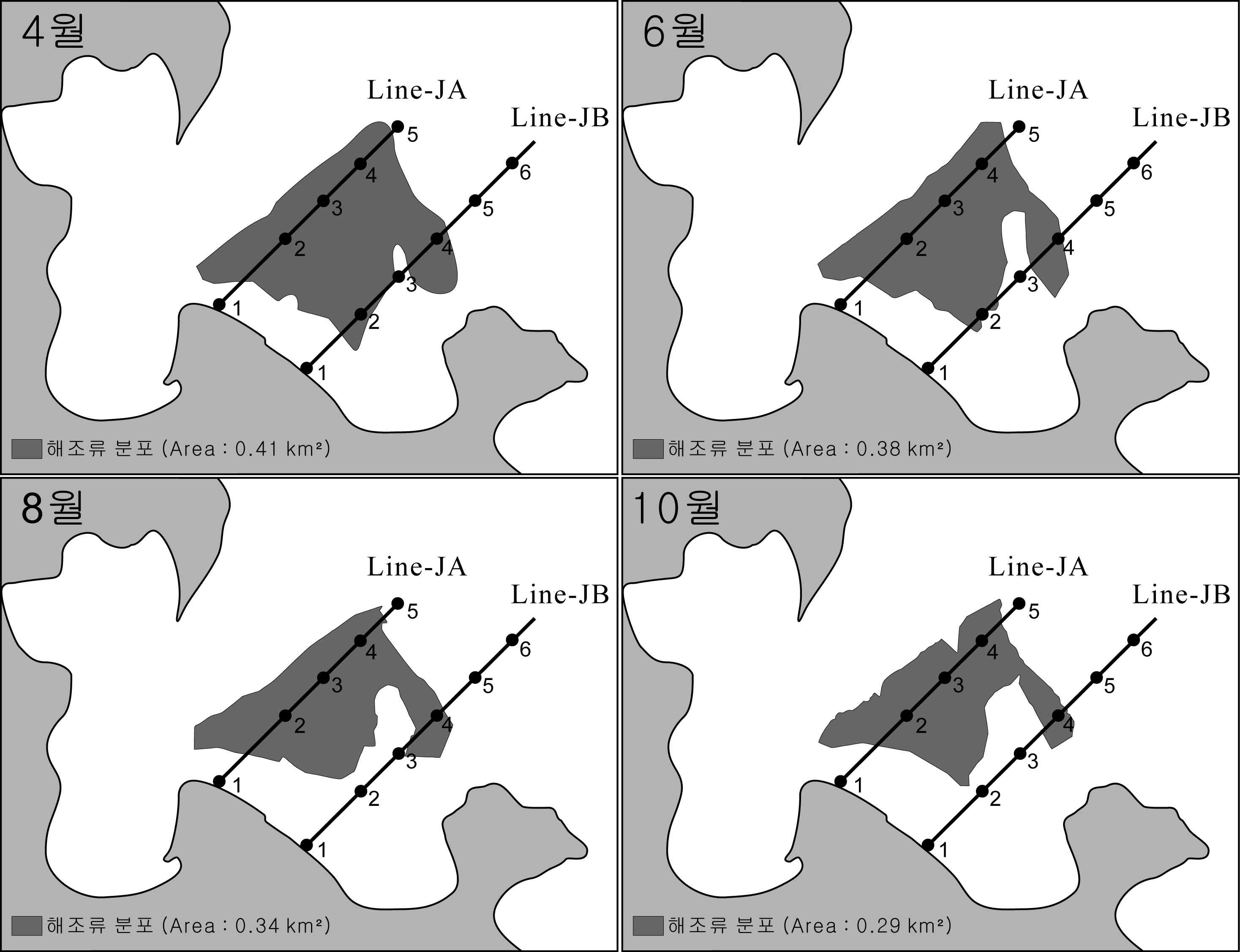 그림 11. 2009년 조사시기별 함평만 마산리 갯벌 해조류 분포면적 변화.