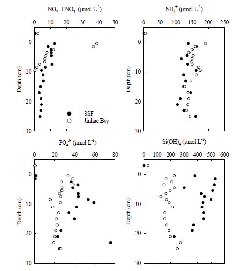 그림 32 공극수의 영양염 수직분포