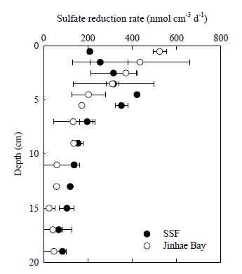 그림 36 퇴적층에서 황산염 환원율 수직 분포