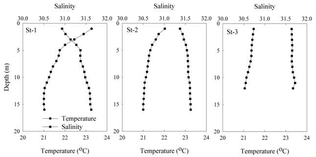 그림 39 조사 지점별 염분 및 수온 수직분포