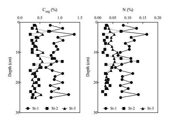 그림 41 조사지점별 유기탄소 및 질소 함량 수직분포