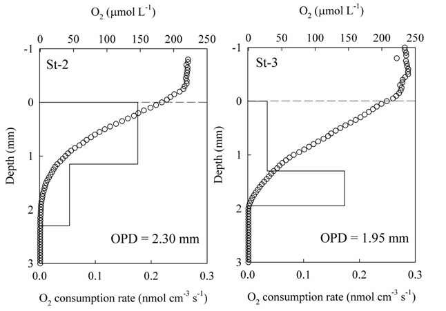 그림 43 공극수내 용존산소의 수직분포 및 산소소모율 분포 특성