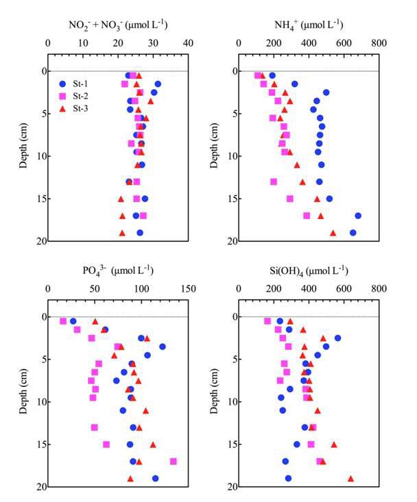 그림 45 조사지점별 공극수내 용존영양염 수직분포