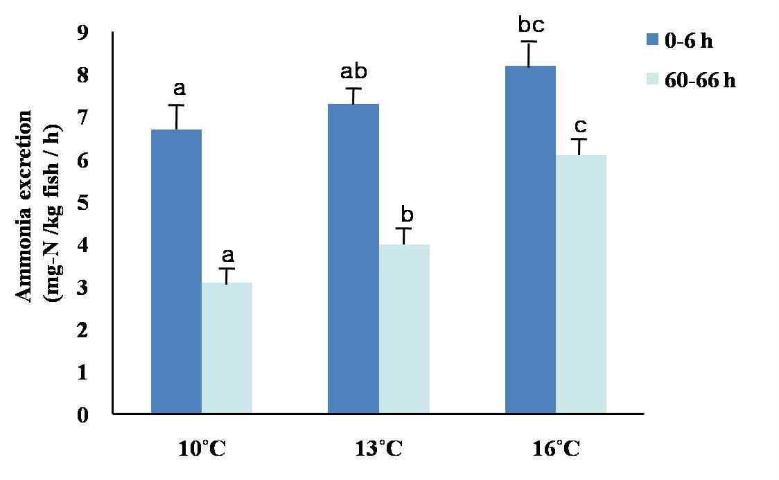 그림 17. 줄가자미(< 600 g) 수온별 암모니아 배설량