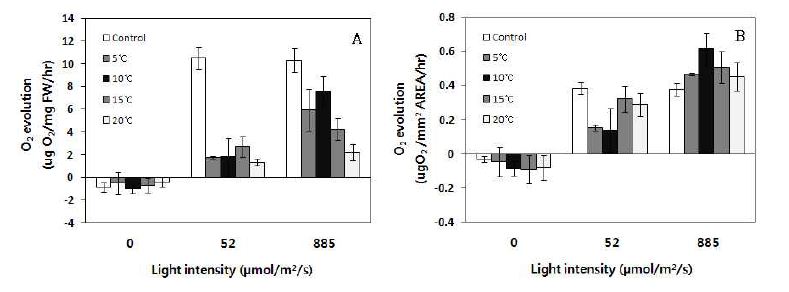 그림 35. 소안도의 양식 김의 각각 다른 온도에 대한 광의존성 산소 발생률.