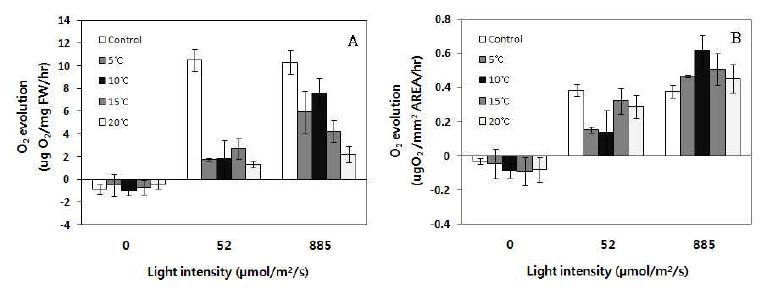 그림 36. 해남의 양식 김의 각각 다른 온도에 대한 광의존성 산소 발생률.