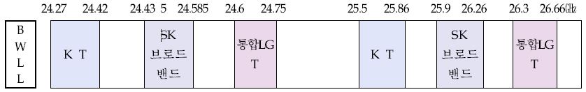 BWLL 주파수 할당 현황