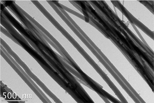 TEM image of As-Cd-S-Te nanotube synthesized via biological routes.