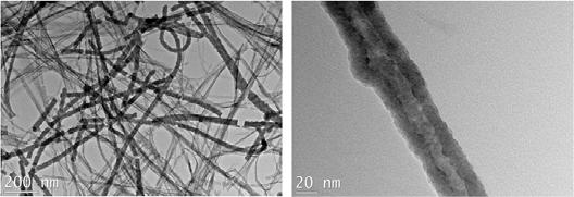 TEM image of Te/V nanostructures (Te shell and V backbone) synthesized by S.oenidensis MR-1.