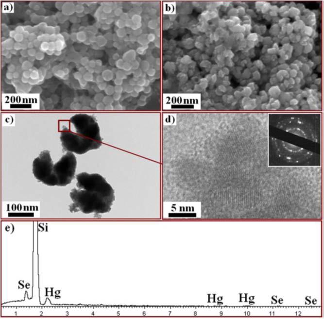 Morphologies of a-Se and HgSe nanoparticles produced by S. putrefaciens 200