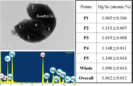 TEM-EDS analyses of HgSe nanoparticles