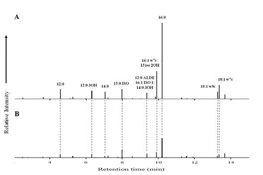 GC-FID chromatograms of fatty acid fraction from S. oneidensis MR-1 grown anaerobically in the presence of (A) fumarate and (B) Te(IV)