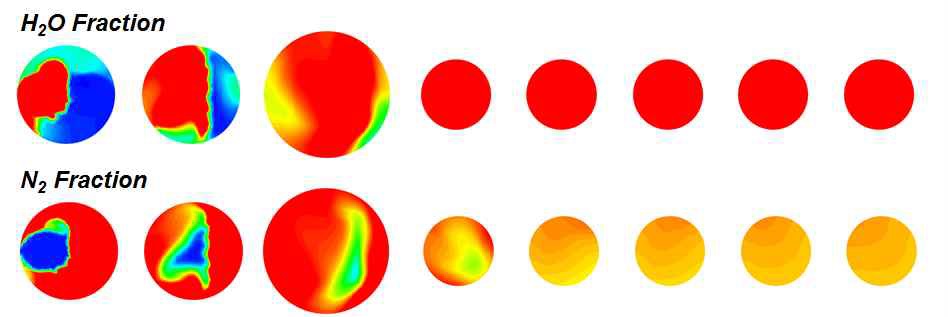 그림 29 각 단면에 대한 질소가스와 물의 Fraction(CASE C)