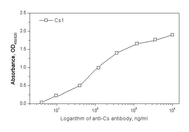 간흡충 항원에 대한 단클론 항체 Cs1의 반응성 그래프