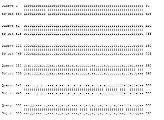 Sequence aligment of Clonorchis sinensis, Tegumental protein 31.8kDa