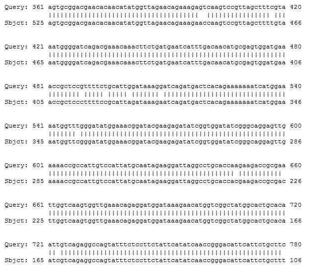 Sequence aligment of Clonorchis sinensis, Tegumental protein 31.8kDa