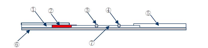 검사용 스트립의 구성. ①, 검체 패드 (sample pad); ②, 축합 패드 (conjugate pad); ③, 검사선 (test line, T); ④, 대조선 (control line, C); ⑤, 흡수 패드 (absorbance pad); ⑥, 플라스틱 카드 (plastic card); ⑦, 니트로셀룰로오스 멤브레인 (nitrocellulose membrance)