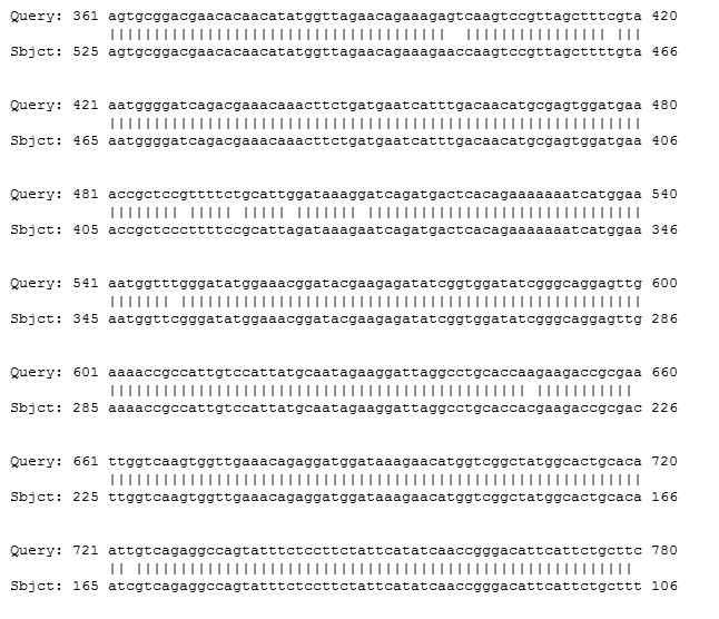 Sequence aligment of Clonorchis sinensis, Tegumental protein 31.8kDa