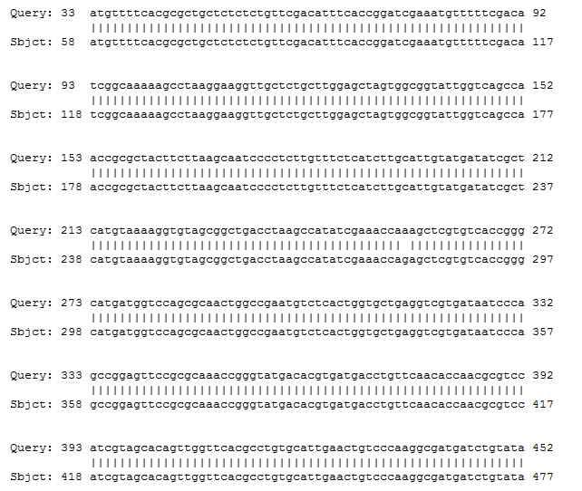 Sequence aligment of Clonorchis sinensis, NAD-dependent mitochondrial malate dehydrogenase (mMDH)