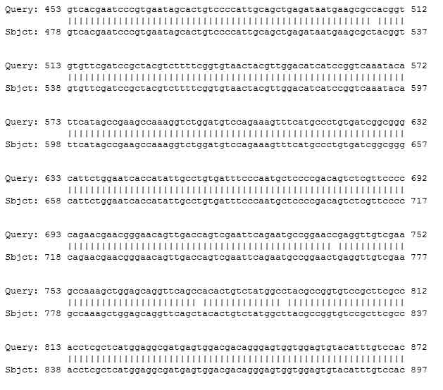 Sequence aligment of Clonorchis sinensis, NAD-dependent mitochondrial malate dehydrogenase (mMDH)