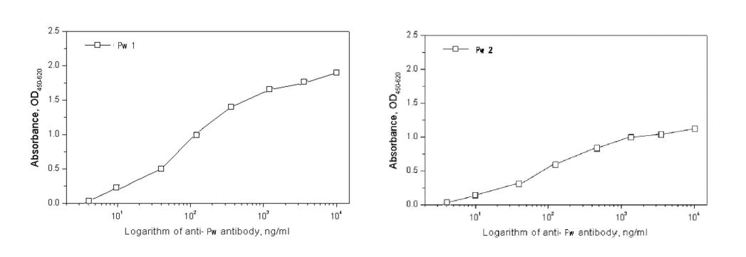 폐흡충 항원에 대한 단클론 항체 Pw-1과 Pw-2의 반응성 그래프